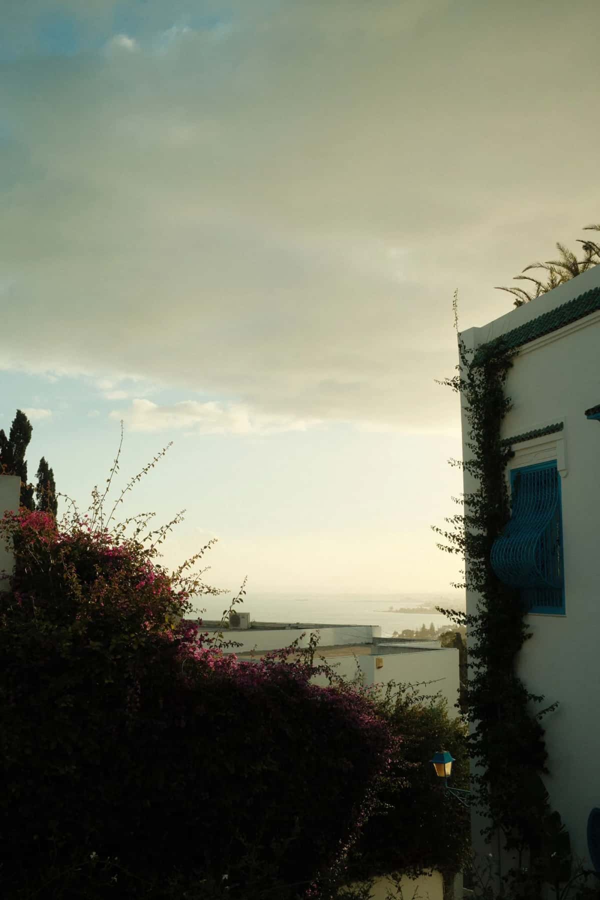 Rue blanche et bleue de Sidi Bou Saïd avec vue sur la Méditerranée