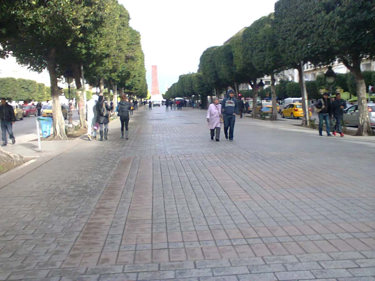 L'avenue Habib Bourguiba à Tunis, bordée de ficus et de terrasses