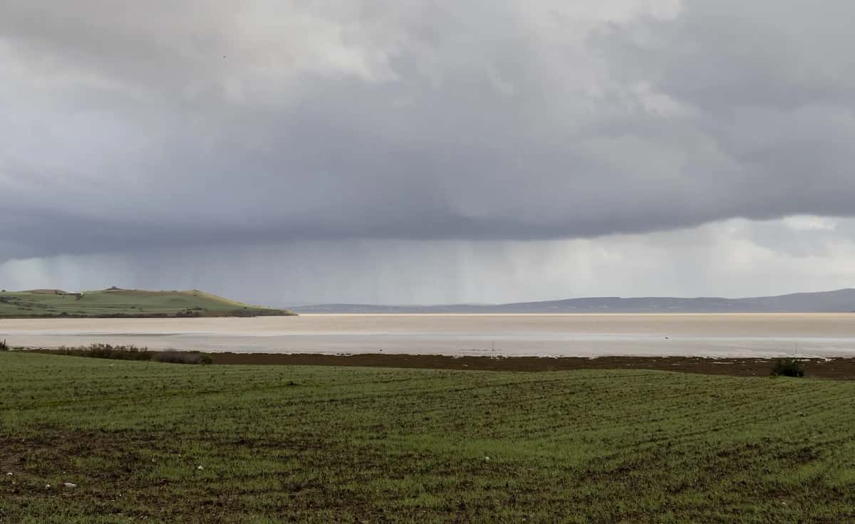 Averse sur les prairies vertes bordant le lac Ichkeul, en février