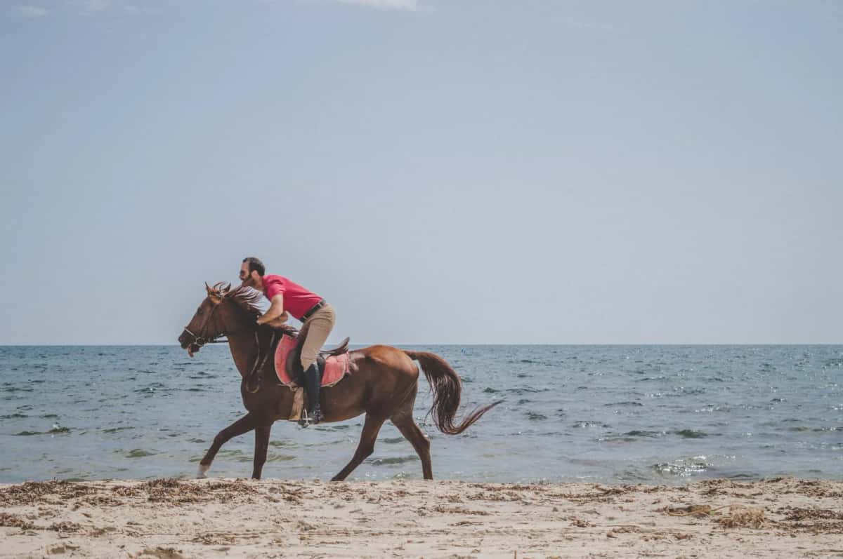 Cavalier au galop au bord de l'eau sur une plage