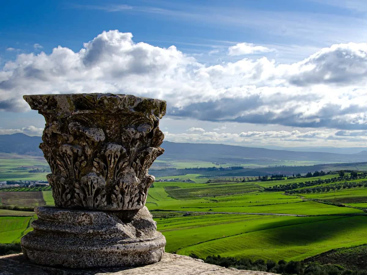 Chapiteau corinthien de Dougga surplombant la plaine agricole du Tell