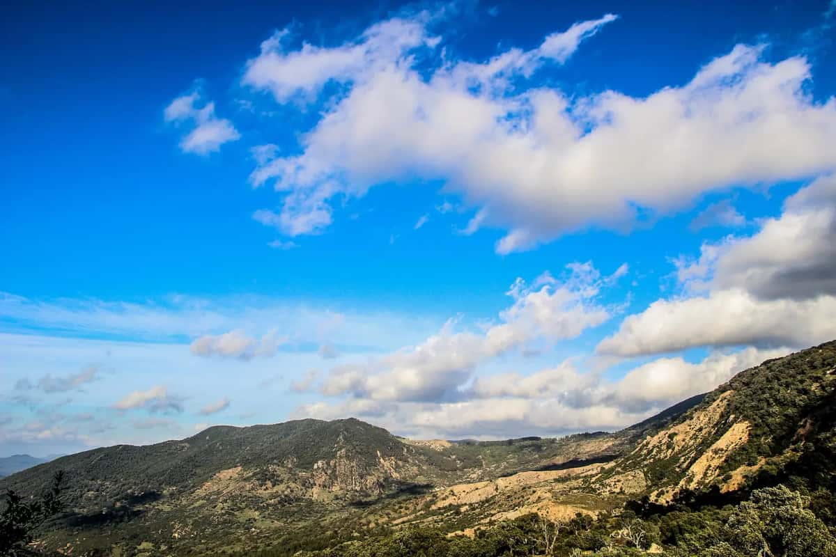 Collines boisées d'Aïn Draham, dans le nord-ouest tunisien