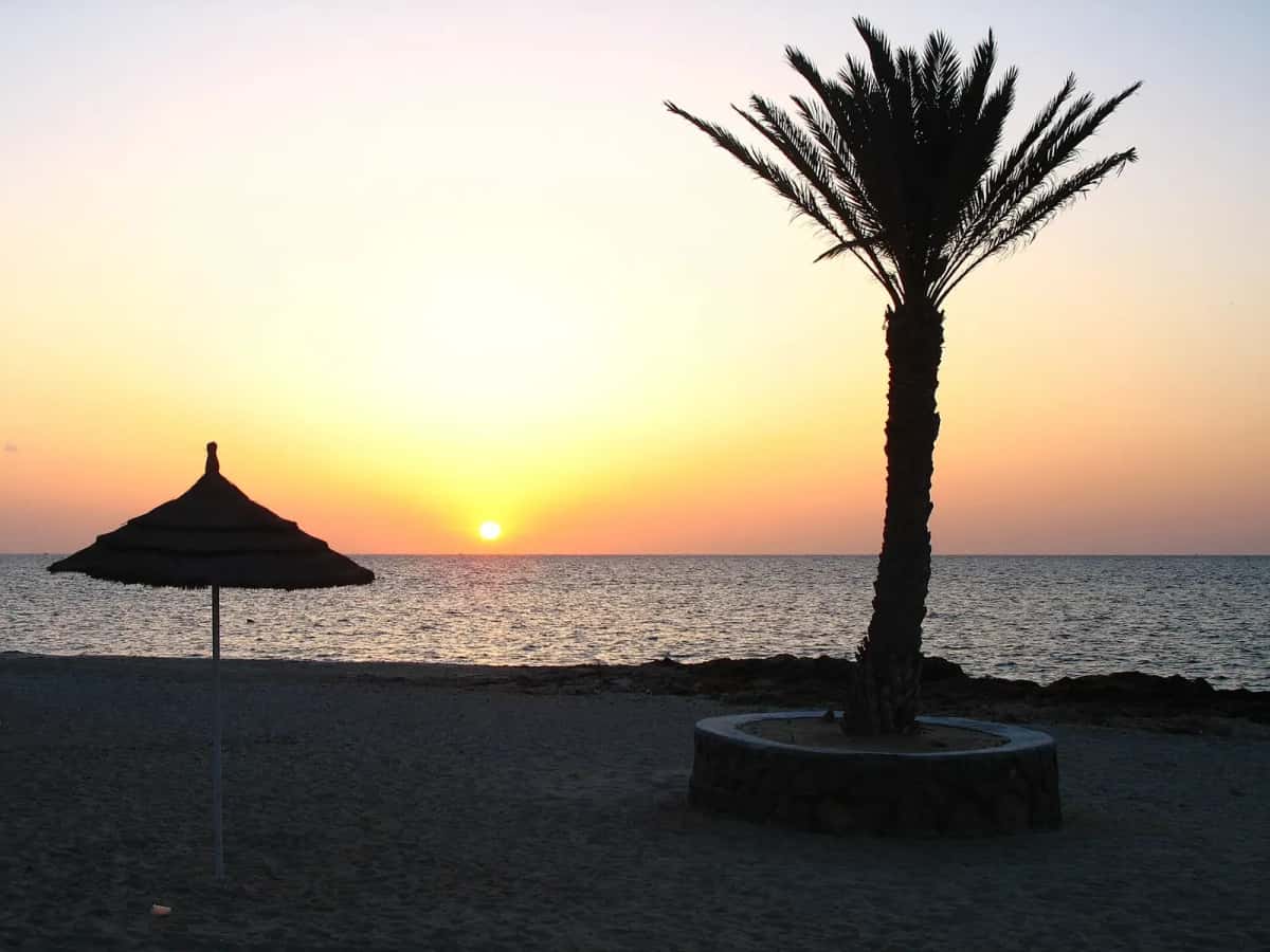 Coucher de soleil sur une plage de Djerba, palmier et parasol de paille au premier plan
