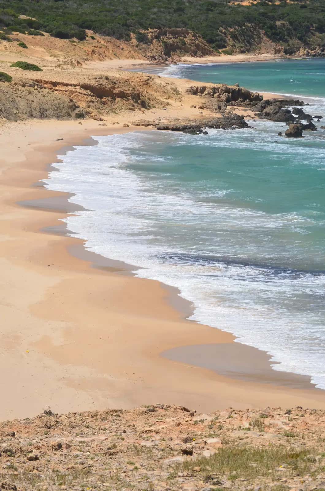 Crique de sable blond et eau claire sur la côte tunisienne, en plein été