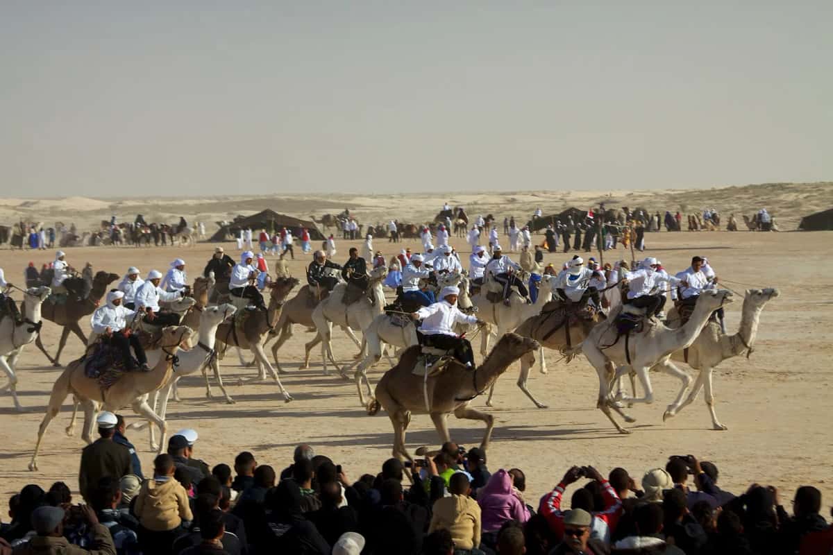 Dromadaires et foule lors du festival du Sahara à Douz