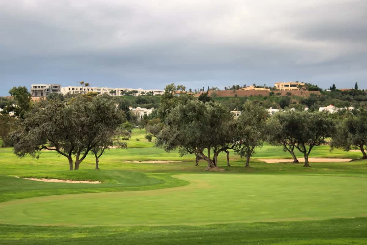 Fairway et green bordés d'oliviers sur le golf d'El Kantaoui, près de Sousse