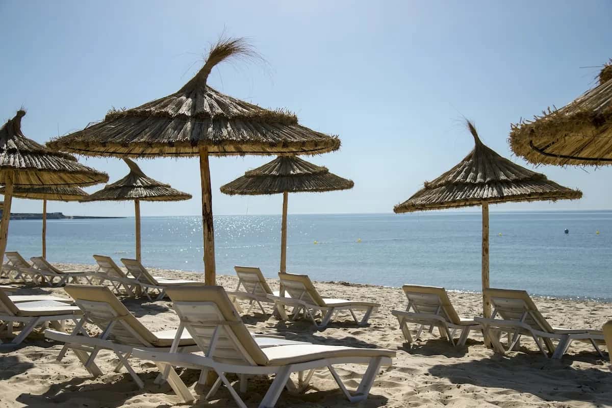 Transats et parasols en paille sur la plage de sable du Radisson Blu Resort & Thalasso Hammamet