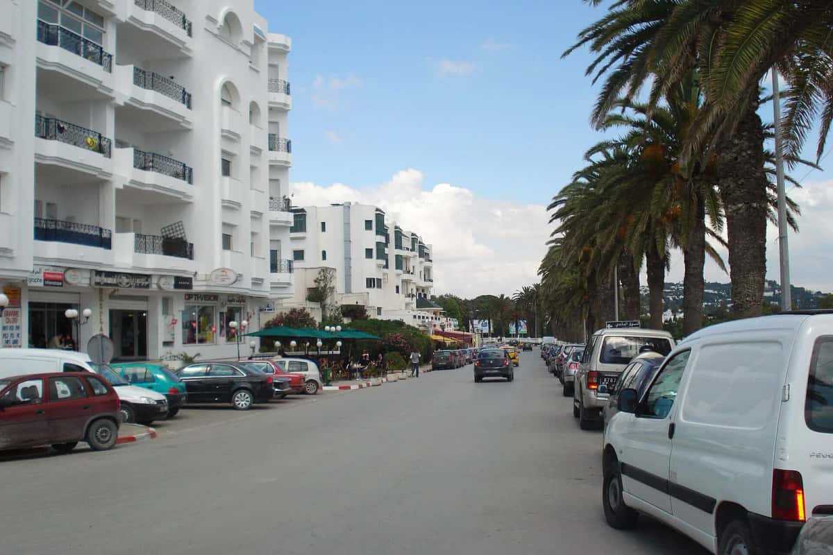 Immeubles résidentiels blancs et palmiers sur une avenue de La Marsa