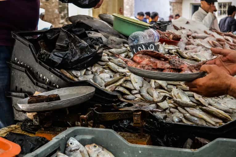 Étal de poissons au souk El Hout, le marché aux poissons de Sfax