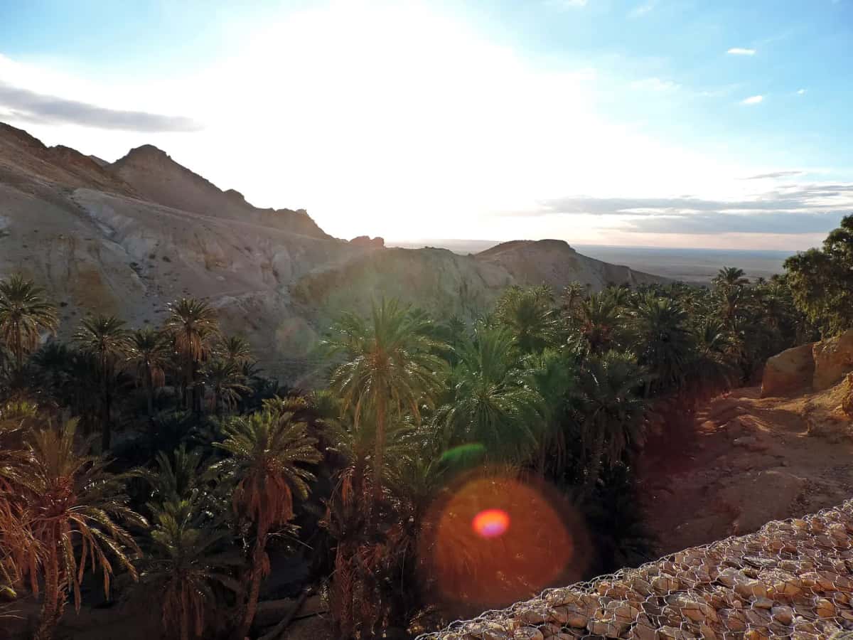 L'oasis de montagne de Chebika, ses palmiers et les reliefs qui la dominent