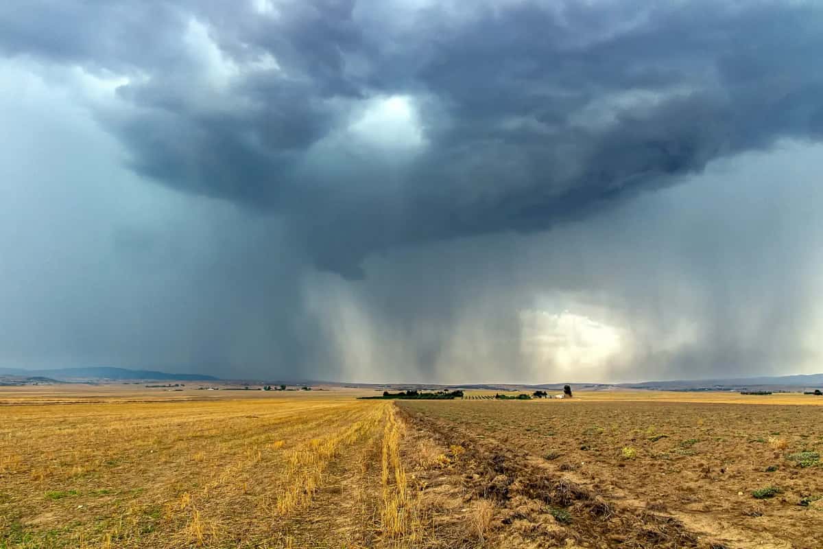 Orage au-dessus des champs moissonnés du nord-ouest tunisien, en novembre