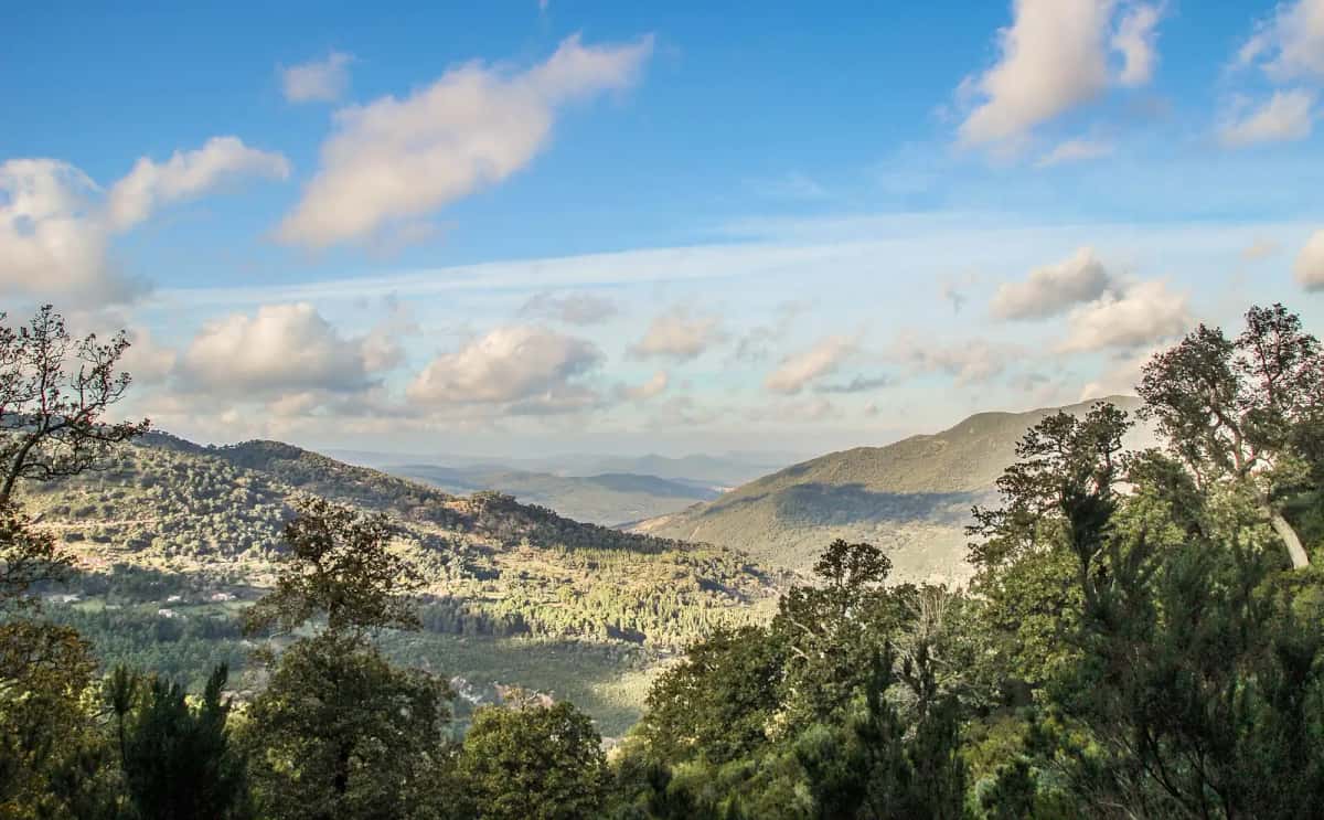 Panorama sur les collines boisées de Khroumirie, dans le nord-ouest de la Tunisie
