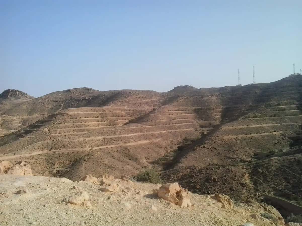 Collines arides et cultures en terrasses autour de Matmata, dans le Sud tunisien