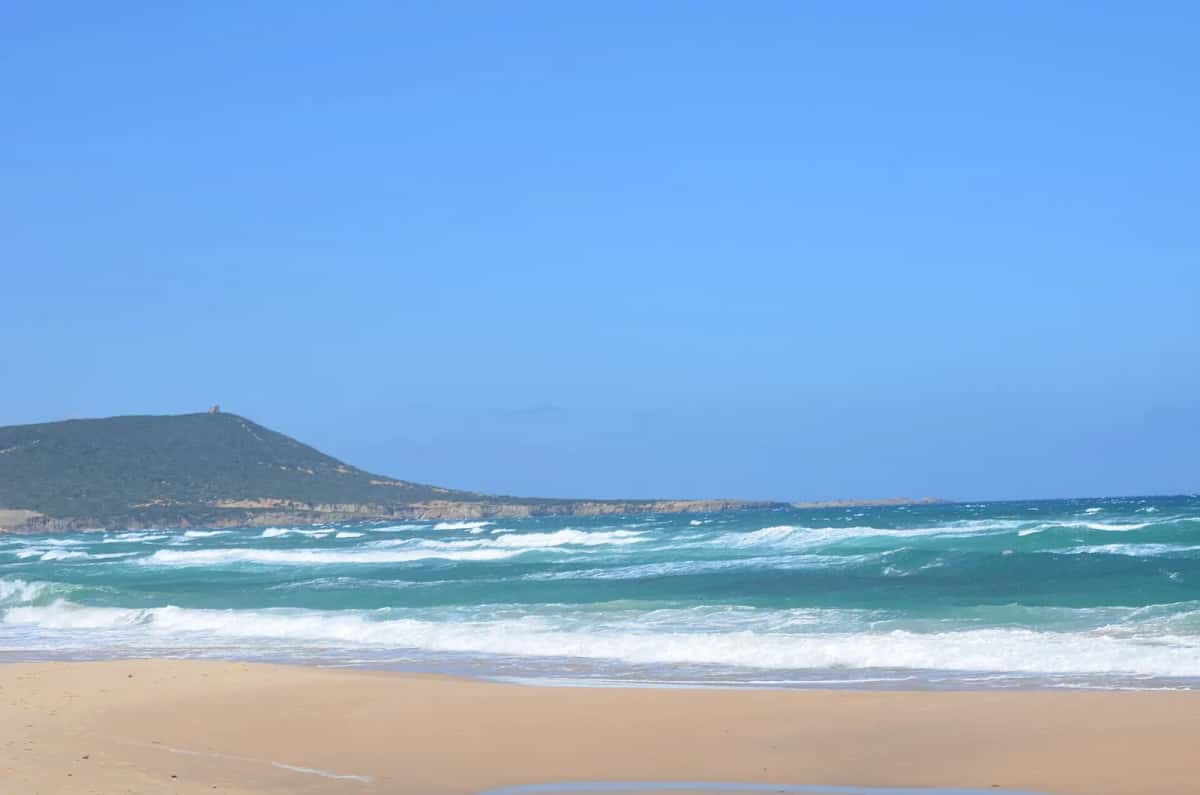 Plage ventée et mer turquoise sur le littoral tunisien, au mois d'août