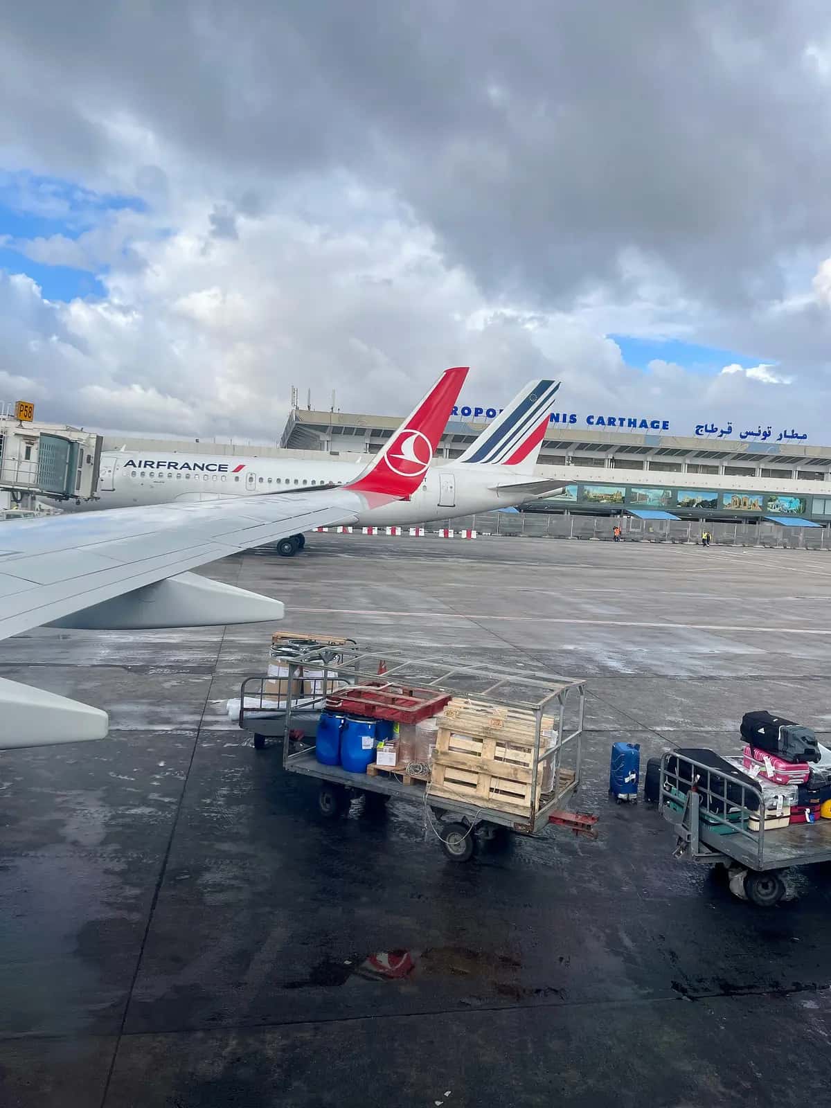 Tarmac et aérogare de l'aéroport de Tunis-Carthage vus depuis un avion